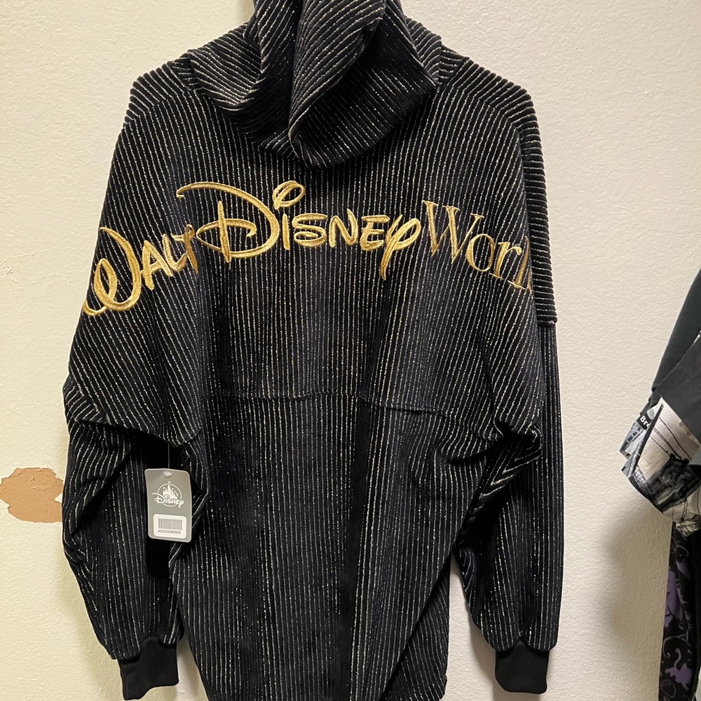 Disney World Hoodie